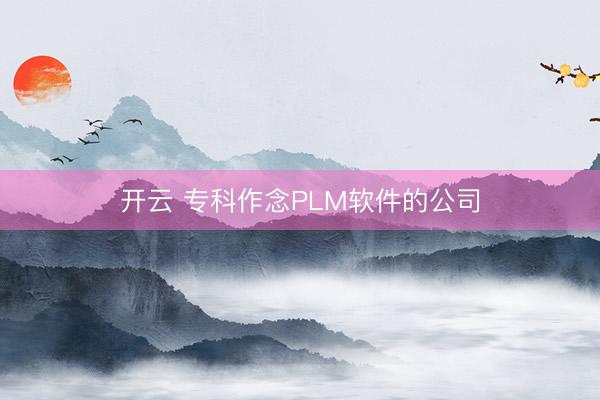 开云 专科作念PLM软件的公司