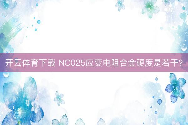 开云体育下载 NC025应变电阻合金硬度是若干?