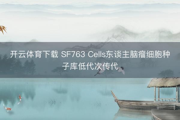 开云体育下载 SF763 Cells东谈主脑瘤细胞种子库低代次传代