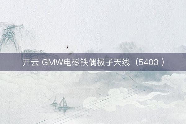 开云 GMW电磁铁偶极子天线(5403 )