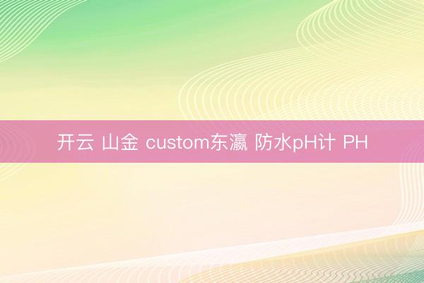 开云 山金 custom东瀛 防水pH计 PH