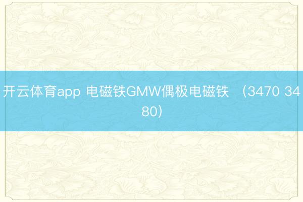开云体育app 电磁铁GMW偶极电磁铁 (3470 3480)