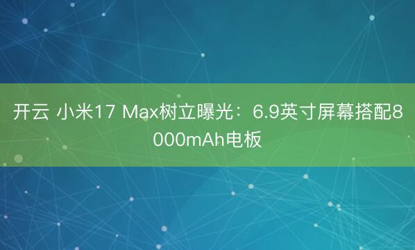 开云 小米17 Max树立曝光:6.9英寸屏幕搭配8000mAh电板