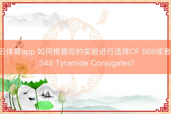 开云体育app 如何根据你的实验进行选择CF 568或者CF 543 Tyramide Conjugates?