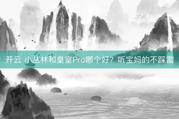 开云 小丛林和皇室Pro哪个好?听宝妈的不踩雷