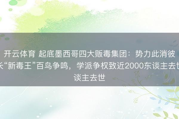 开云体育 起底墨西哥四大贩毒集团:势力此消彼长“新毒王”百鸟争鸣,学派争权致近2000东谈主去世