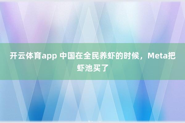 开云体育app 中国在全民养虾的时候，Meta把虾池买了