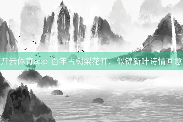 开云体育app 百年古树梨花开，似锦新叶诗情画意