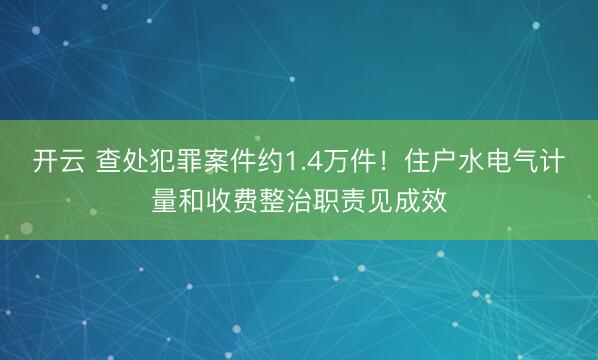 开云 查处犯罪案件约1.4万件！住户水电气计量和收费整治职责见成效