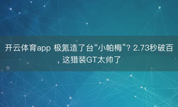 开云体育app 极氪造了台“小帕梅”? 2.73秒破百， 这猎装GT太帅了