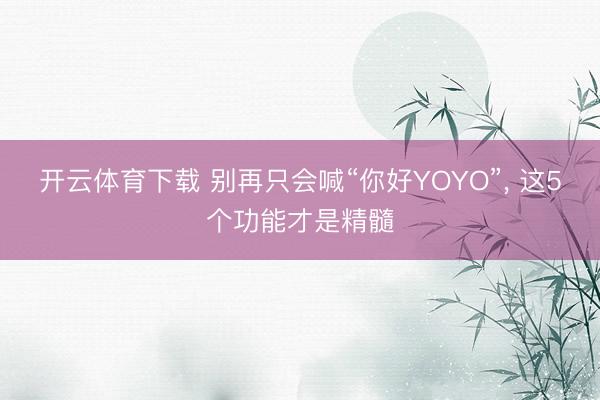开云体育下载 别再只会喊“你好YOYO”， 这5个功能才是精髓