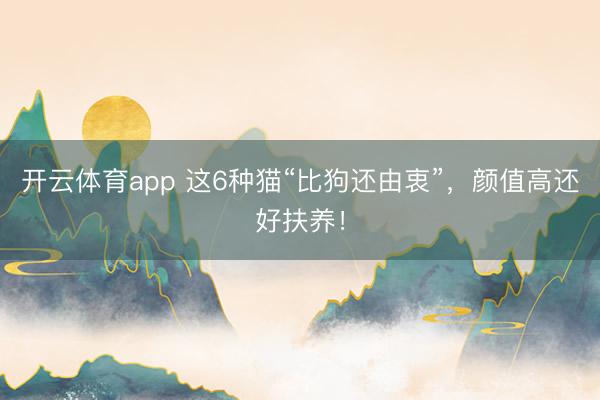 开云体育app 这6种猫“比狗还由衷”，颜值高还好扶养！