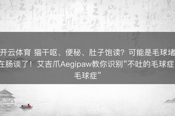开云体育 猫干呕、便秘、肚子饱读？可能是毛球堵在肠谈了！艾吉爪Aegipaw教你识别“不吐的毛球症”