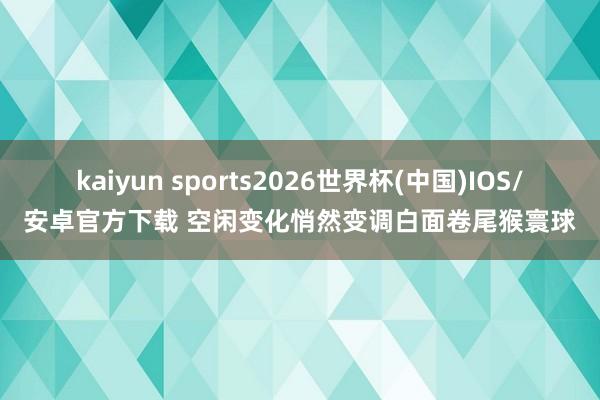 kaiyun sports2026世界杯(中国)IOS/安卓官方下载 空闲变化悄然变调白面卷尾猴寰球