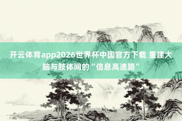 开云体育app2026世界杯中国官方下载 重建大脑与肢体间的“信息高速路”