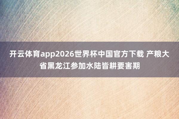 开云体育app2026世界杯中国官方下载 产粮大省黑龙江参加水陆皆耕要害期
