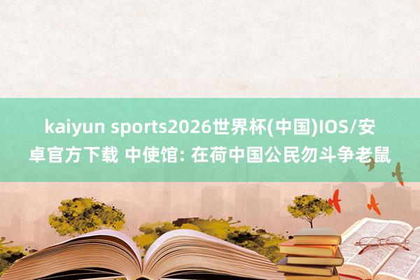 kaiyun sports2026世界杯(中国)IOS/安卓官方下载 中使馆: 在荷中国公民勿斗争老鼠
