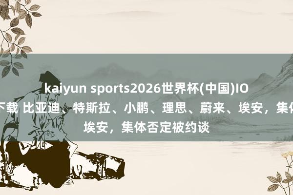kaiyun sports2026世界杯(中国)IOS/安卓官方下载 比亚迪、特斯拉、小鹏、理思、蔚来、埃安,集体否定被约谈