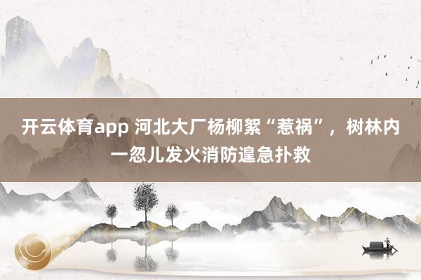 开云体育app 河北大厂杨柳絮“惹祸”，树林内一忽儿发火消防遑急扑救