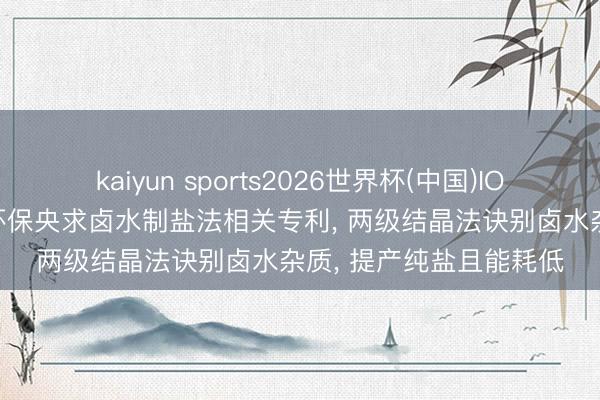 kaiyun sports2026世界杯(中国)IOS/安卓官方下载 环诺环保央求卤水制盐法相关专利, 两级结晶法诀别卤水杂质, 提产纯盐且能耗低