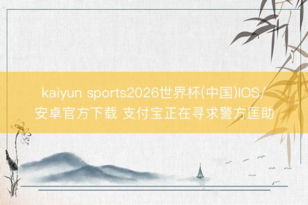 kaiyun sports2026世界杯(中国)IOS/安卓官方下载 支付宝正在寻求警方匡助