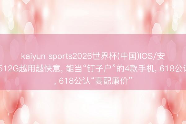 kaiyun sports2026世界杯(中国)IOS/安卓官方下载 512G越用越快意, 能当“钉子户”的4款手机, 618公认“高配廉价”