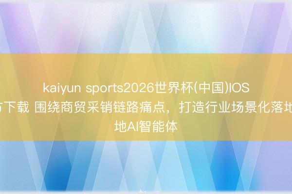 kaiyun sports2026世界杯(中国)IOS/安卓官方下载 围绕商贸采销链路痛点，打造行业场景化落地AI智能体