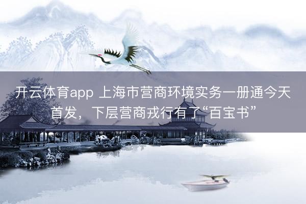 开云体育app 上海市营商环境实务一册通今天首发,下层营商戎行有了“百宝书”