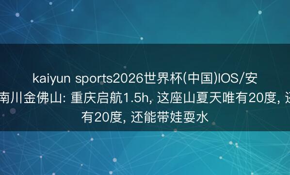 kaiyun sports2026世界杯(中国)IOS/安卓官方下载 南川金佛山: 重庆启航1.5h, 这座山夏天唯有20度, 还能带娃耍水