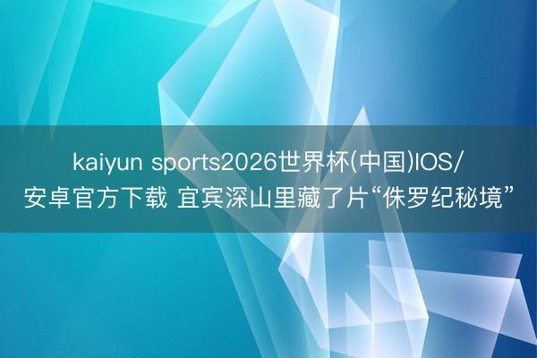 kaiyun sports2026世界杯(中国)IOS/安卓官方下载 宜宾深山里藏了片“侏罗纪秘境”