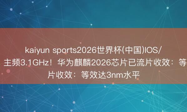 kaiyun sports2026世界杯(中国)IOS/安卓官方下载 主频3.1GHz！华为麒麟2026芯片已流片收效：等效达3nm水平