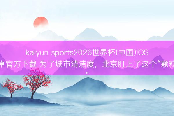 kaiyun sports2026世界杯(中国)IOS/安卓官方下载 为了城市清洁度,北京盯上了这个“颗粒物”