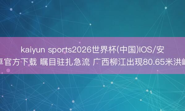kaiyun sports2026世界杯(中国)IOS/安卓官方下载 瞩目驻扎急流 广西柳江出现80.65米洪峰